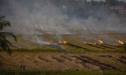 Indonesia’s forest fire crackdown puts plantation sector insurance programs under pressure