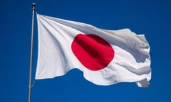 Japan’s insurers clear the bar under new economic solvency rules