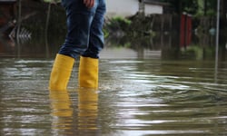 Typhoon Dujuan exposes gaps in Japan’s property insurance cover
