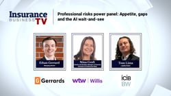 Professional indemnity: new opportunities, AI wordings and insurer appetite