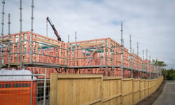 NZ building code in the spotlight as Australia weighs radical overhaul