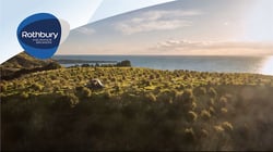 New Zealand insurance market steadies as premiums level off