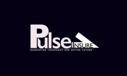 Pulse Insure to provide general cover for CA ANZ members