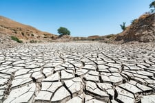New IAG CEO vows to address climate change risks