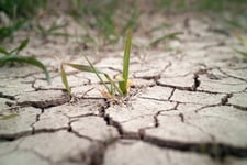 QBE's North American crop business stung by claims blowout