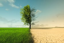 Stephen Jones on climate change insurance “inequity”