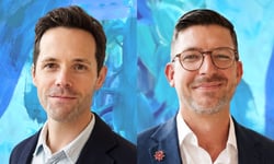 Insurance moves: Tesla ANZ, Knightcorp
