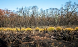 Insurers return to the same three Victorian towns - what's changed since May