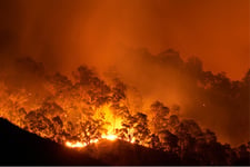 Perth brokers on a tumultuous week in the WA capital