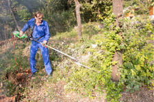 Bushfire clean-up to allow insurer savings to be passed on to policyholders