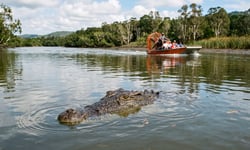 An airboat crash in croc-infested waters