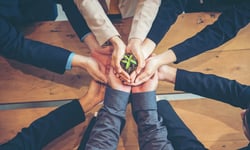 CHU backs climate resilience through new strata grant program