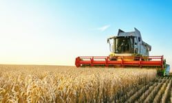 Aggregate improvement, concentrated deterioration: what WFI’s farm data reveals