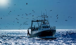 NTI’s plain-language vessel launch reflects a trend already underway in the market