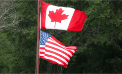 Trump tariff chaos: are BoC rate moves ahead?