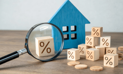 OCR peak forecasts diverge as tightening continues