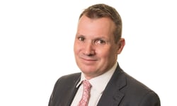 A new approach to hybrid insurance partnerships