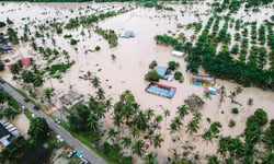 MS Amlin adds US$50m to disaster fund as blended finance structures gain scale