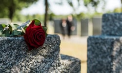 Global mortality protection gap hits $432 billion - Swiss Re