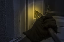 AA Insurance reveals worrying trend on home burglaries