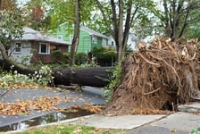 NZ insurance industry unfazed by Cyclone Debbie