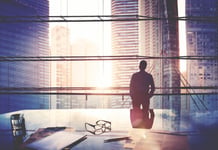 What's the risk in having a rogue CEO?