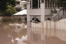 Endangered property risk puts banks under spotlight