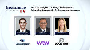 Challenges in environmental insurance