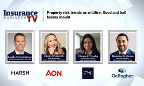Property risk trends as wildfire, flood and hail losses mount