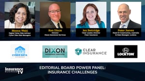 Editorial Board Power Panel: Insurance challenges