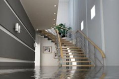 Major insurer offers QLD alternative