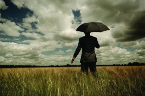 Large insurer launches online rural insurance platform
