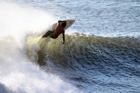 Surfer insurance against shark attacks an industry first