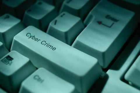 One in five businesses a victim of cyber crime