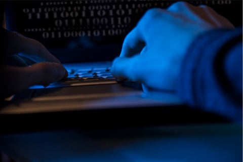 Work-from-home employees being targeted by hackers, experts warn