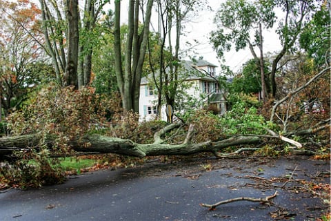 Derecho storm tears through the Midwest, causes widespread damage