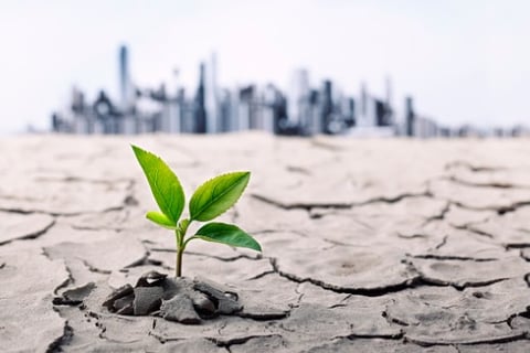 Willis Towers Watson on why COVID-19 can't be allowed to derail climate progress
