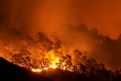 Billions in insured losses for 2020 wildfires – RMS