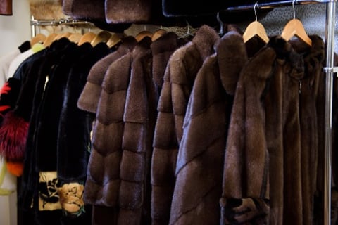 Furtive fraudster forages for fortune with fake fur filing
