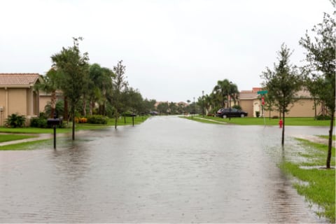 Florida natives underpaying for flood insurance – study