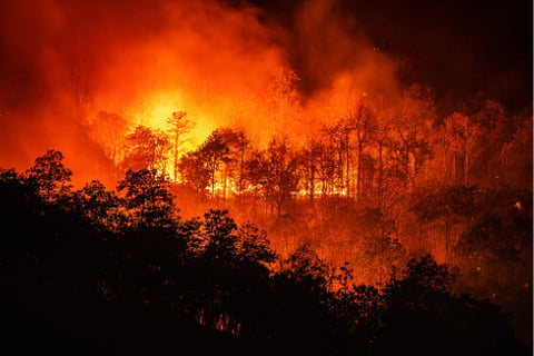 Insurtech start-up reinsures California homes against wildfires