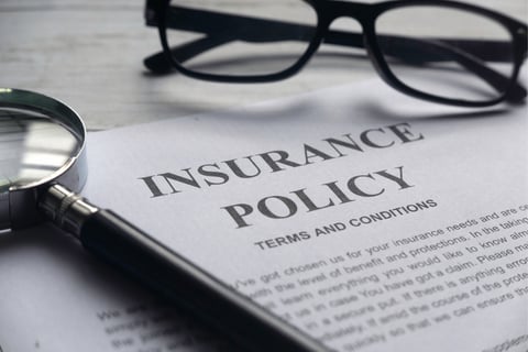 What do the top business interruption insurance policies in the US cover?