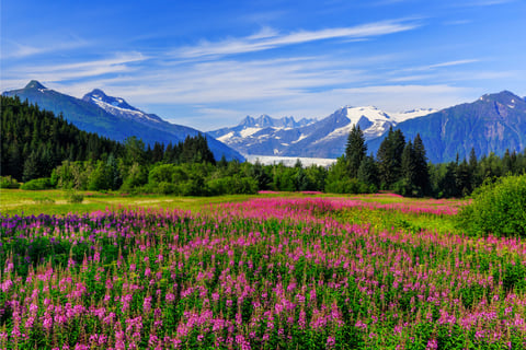 Alaska: Providing insurance in The Last Frontier