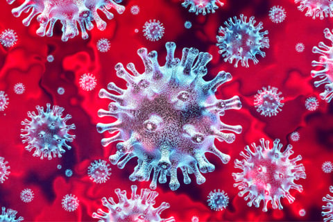 How will the coronavirus impact the threat of terrorism?