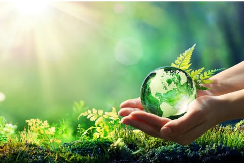 QuestGates goes global with environmental division