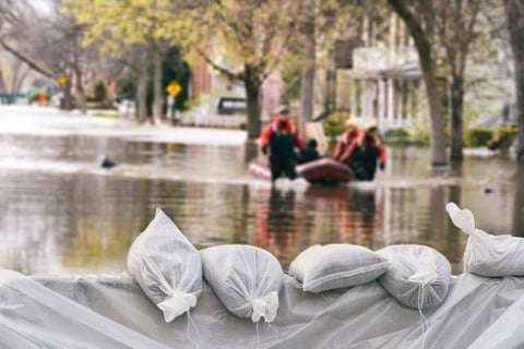 Flood damage may hurt companies' long-term value - study