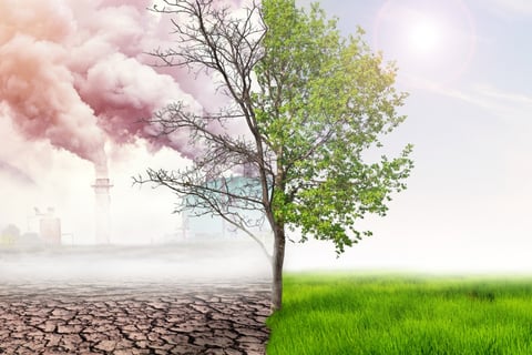 Revealed – the industry segments now facing a greater threat from climate change