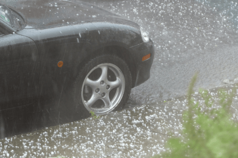 SGI anticipates significant claims from recent hailstorm event