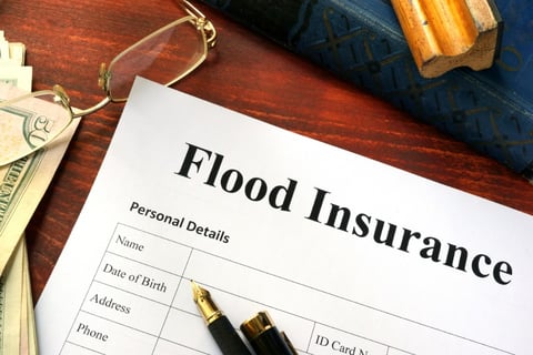 Federal government sets the stage for first national flood insurance program – report