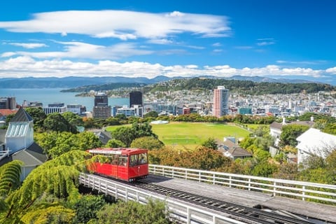How prepared is New Zealand to deal with its own fire risks?